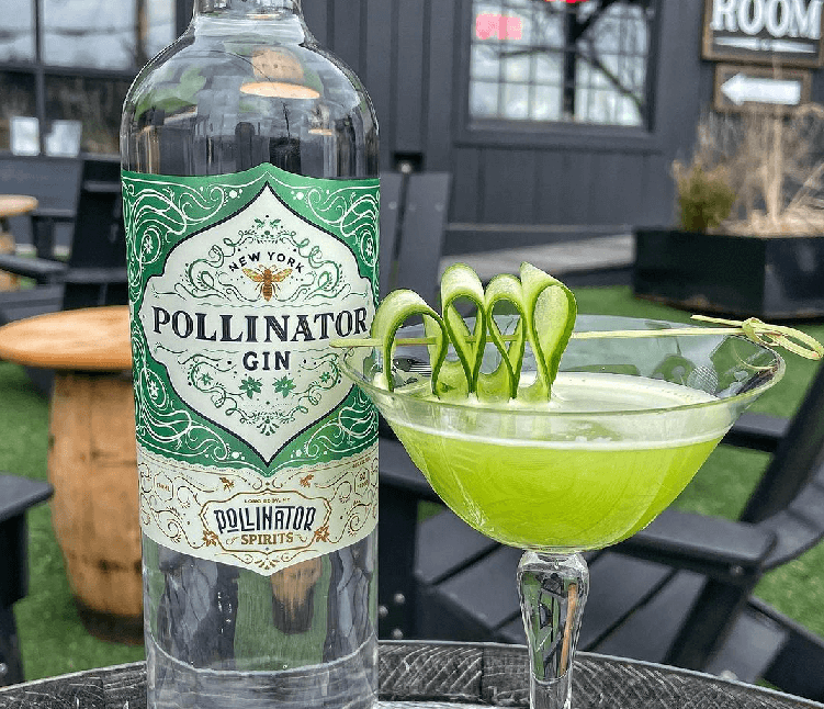 Herbal gin spirit paired with a classic cocktail using NY-distilled ingredients