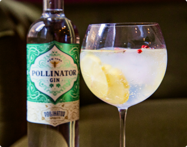 Gin Tonic